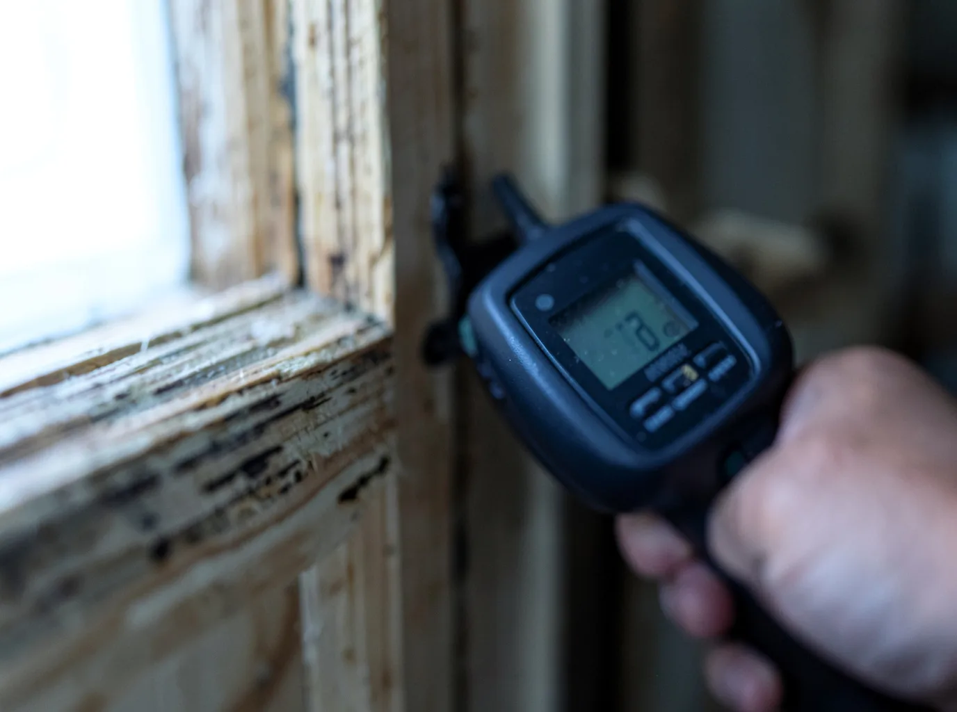Commercial Water Damage Restoration in Holland, MN
